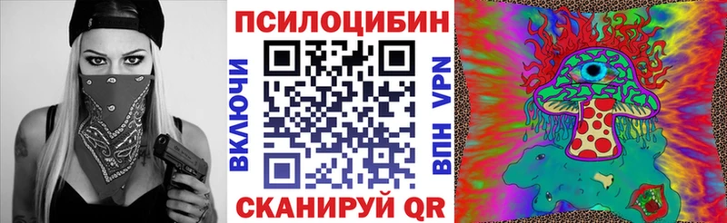 darknet телеграм  Ленинск-Кузнецкий  Псилоцибиновые грибы Cubensis  купить  цена 