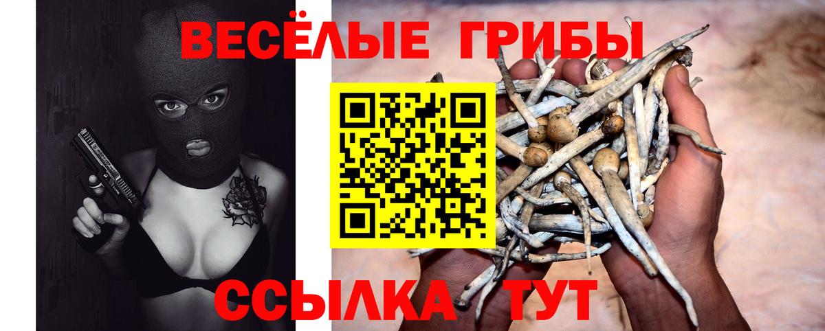Псилоцибиновые грибы мухоморы Ленинск-Кузнецкий