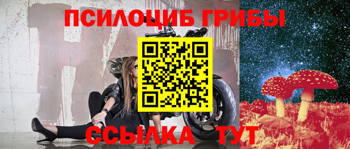 Ленинск-Кузнецкий  Галлюциногенные грибы MAGIC MUSHROOMS  Вход с VPN  Псилоцибиновые грибы GOLDEN TEACHER 